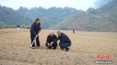 湖南桑植创新“山上换山